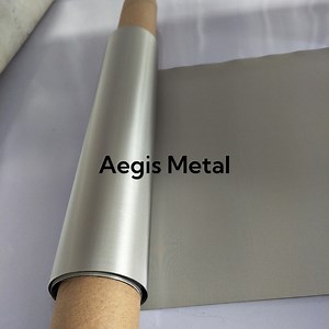 [Hot Item] 5 Micron Stainless Steel 316L Wire Mesh Filter Screen for DTG Printing Process