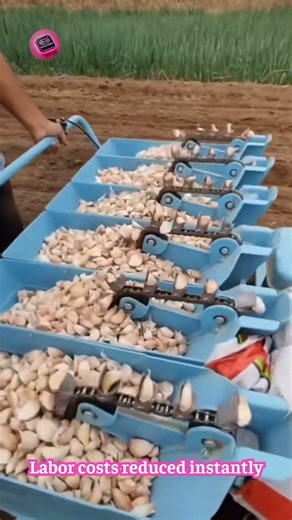 The Garlic Planter That Saves Farmers Time and Labor Costs