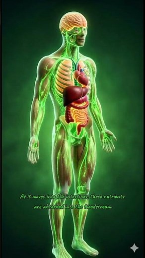 What Happens Inside Your Body When You Eat Kale? | 3D Animation That Will Shock You!