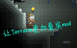 Terraria—真实mod（懒得不想剪辑版）