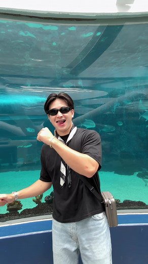Cebu Ocean Park Tickets, Prices & Visitor Tips 2026