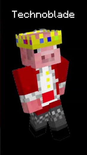 What your Minecraft skin says about you [#minecraft #mcyt #minecraftskin #dsmp]