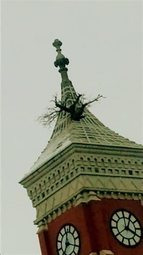"Greensburg, Indiana • Decatur County Courthouse • Tree Of Life"