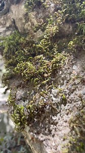 37K views · 1.7K reactions | Wonderful Cyprus ❤️ #my #thisiscyprus #lovecyprus  Amazing video by @cyprus_and_me  | MyCyprus | Facebook