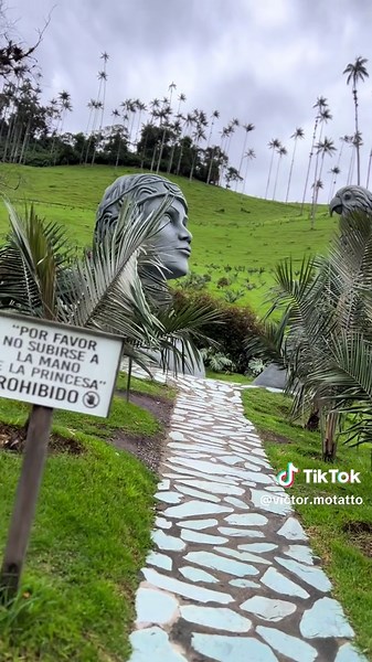 Descubre el Valle del Cocora en Salento, Colombia