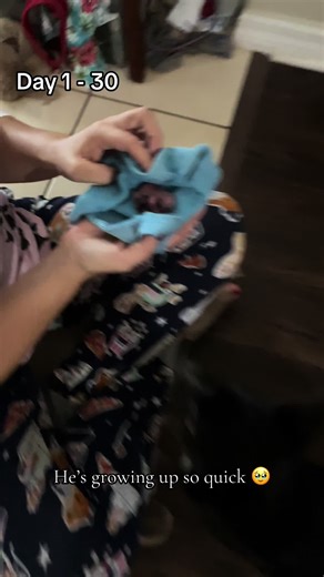 Baby richard is growing up so fast!! #lilrich #foryoupage