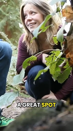 17K views · 160 reactions |  Learn: how to hide a geocache!  Where would you hide a geocache? #geocaching #geocache #family #fun #adventure #outdoors | Geocaching | Facebook