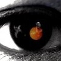 黑色柳丁 (Black Tangerine) by David Tao on WhoSampled