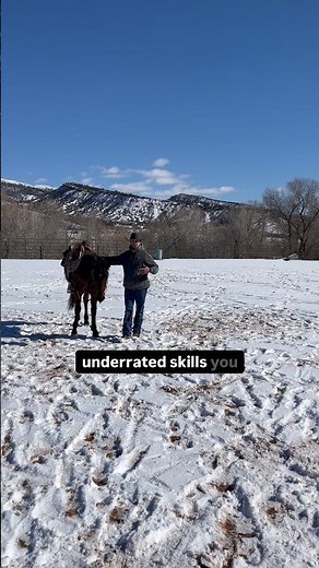 You Need To Teach Your Horse This! #horsemanshiptraining