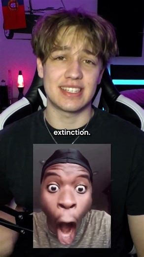 What If The Sun Exploded? 🤔