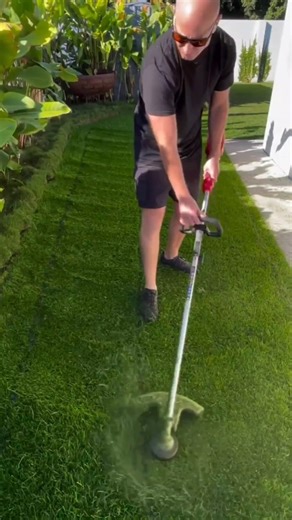 Satisfying Lawn Edge Trimming – Precision Grass Cutting with a Cordless String Trimmer