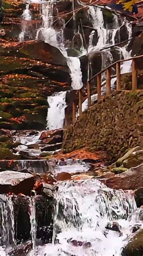 Relaxing Fall Waterfall 🍂 Calming Water Flow | Nature Relaxation Short