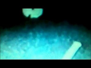 UN FALSE FLAG ALIEN ATTACK REPORTS