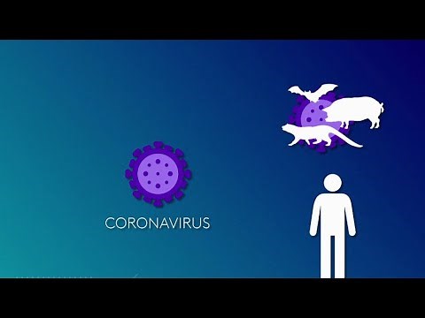 Science - Le Coronavirus au microscope