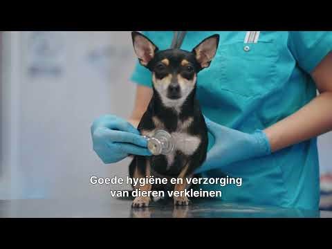 De Verborgen Wereld van Parasieten