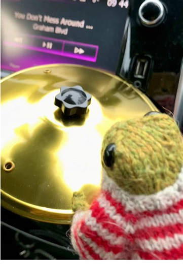 If the car ride takes too long, I drum on the cymbals #frog #froggy #frogtok #adventurefrog #frogs