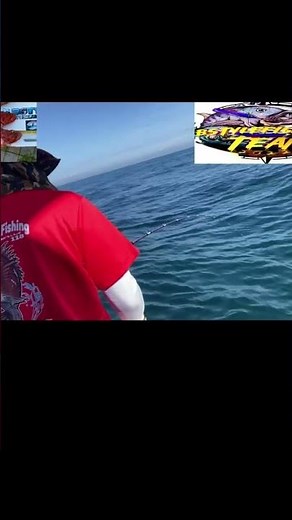 鬼カサゴ究極の餌教えます#fishing #fishingvideo #angler #enjoy #daiwa #shimano #pilipino