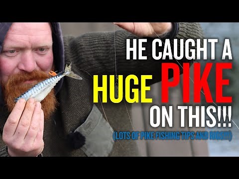 How To Fish For Pike at Wyreside Lakes | Pike Fishing For Beginners | Rigs | Tips Dead Baits | Float