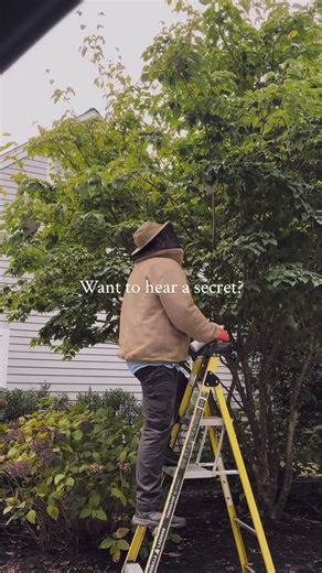 Most pest problems don’t start where you think they do. Everyone assumes the issue begins inside the home, the kitchen, the basement, the bathroom… but pests almost always establish themselves outside first. In the soil, in the mulch beds, in the shrubs, under siding, behind exterior fixtures… areas homeowners rarely look at. By the time you’re seeing activity indoors, the outside network is already active, organized, and expanding. That’s the part no one talks about: Pest control isn’t just abo