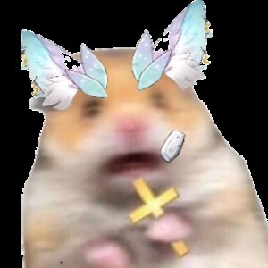 チェイサ - Twitch