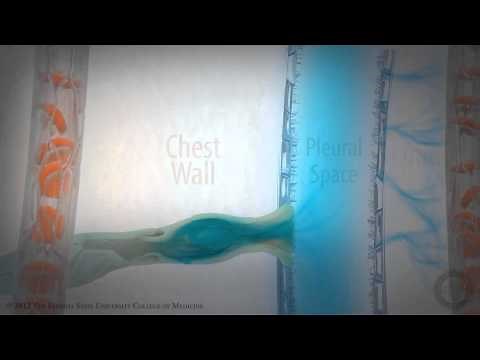 Pleural Space:Part 2 of 3- Pleural Fluid Dynamics [HD]