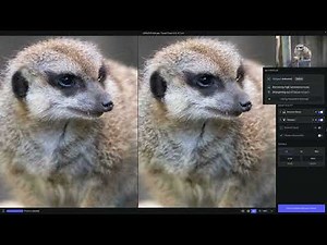 Topaz Short: Using Topaz Photo AI with Adobe Lightroom Classic for your non-RAW images