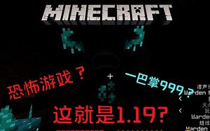 这就是Minecraft1.19吗？！！！