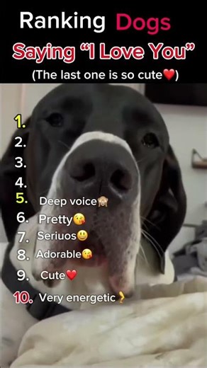 🐶 “Top 10 Dogs Saying ‘I Love You’ ❤️ | You Won’t Believe #1!” #shorts