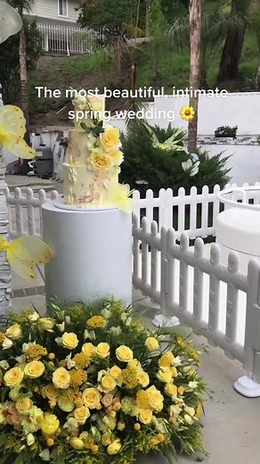 The bride thought of every guest 💛 #foryourpage #springwedding #wedding #flowergirl #bride #bridesmaid #backyardwedding