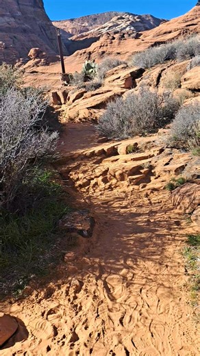 Living Life Wise in Southern Utah on Reels
