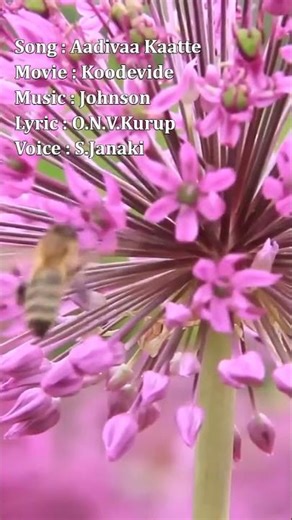 Aadivaa Kaatte (Koodevide) - Johnson, O.N.V.Kurup, S.Janaki