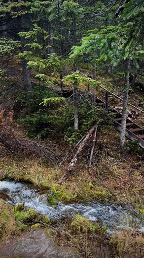 NATURE’S MELODY You never have to wander far in Labrador City to find a little waterfall to sit by! | Larry Jenkins