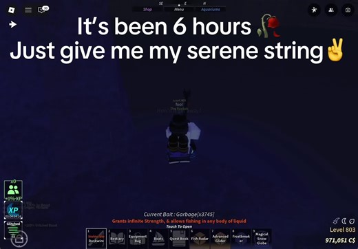 Frustration Over Missing Serene String Explained