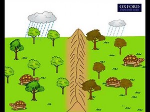 Animation 30.2 Speciation