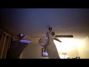 The remaking of Jane and Roary from World Animals