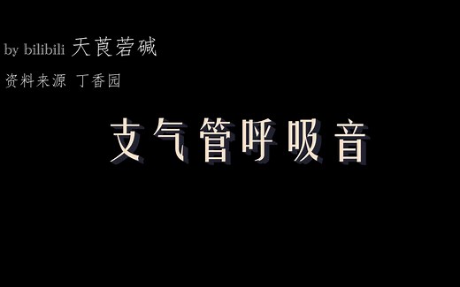 听诊：正常肺泡呼吸音（基本涵盖所有呼吸音）