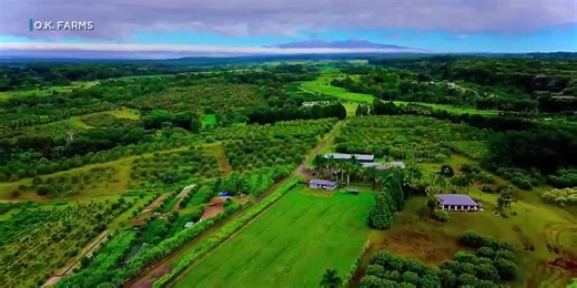 State to offer paid agriculture internship to students