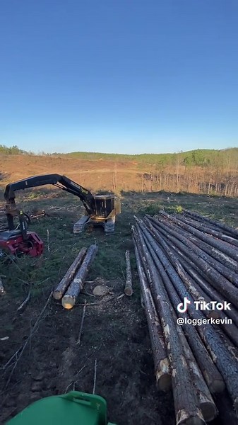 End of the Day Reflections in Logging Work