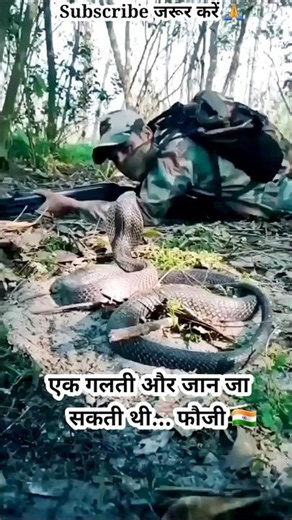 Indian Army Jungle Patrol Snake Encounter Fearless 🇮🇳