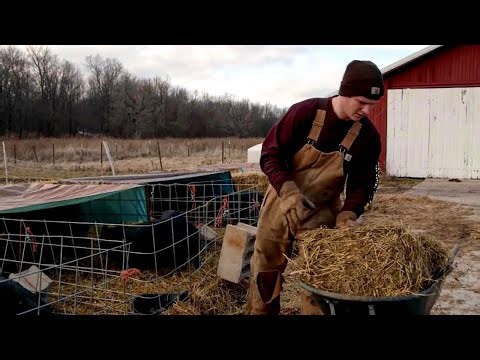 The Chaos of America's Food System