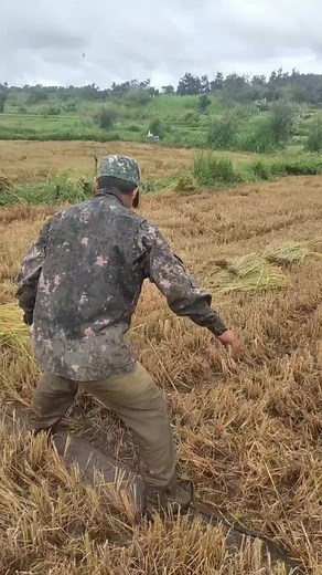 Video của Nguyn Nie Kdăm (@nguyniekdam) với bản nhạc nhạc nền - T R U N G (68-KG) 🐷 - Nguyễn Ngọc Trung