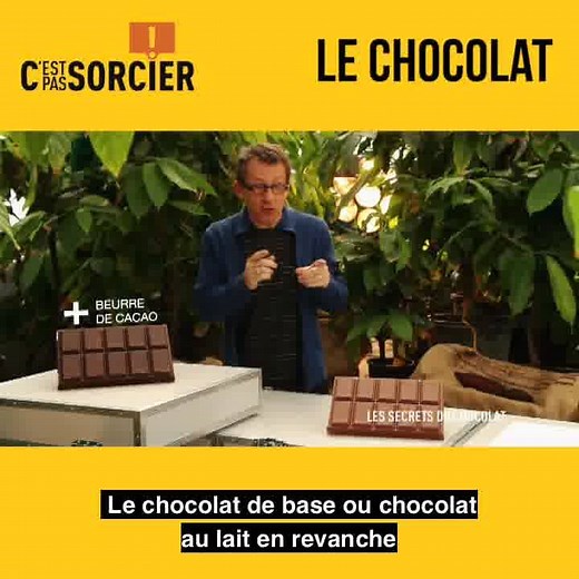 C'est le week-end, savourons un peu de chocolat pour l'occasion ! Mais d'où vient et comment est-il fabriqué ? | C'est pas sorcier