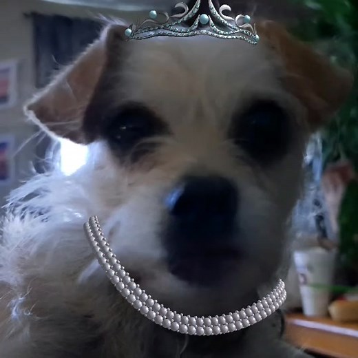 Angie Miller on TikTok