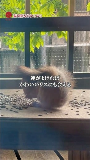 レトロでロマンあふれる屯田づくり★北海道 網走湖畔温泉 オーベルジュ北の暖暖