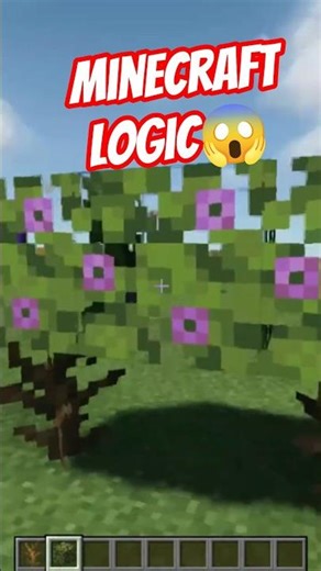 #birdtrend Minecraft Logic Again? 🤯 | #Shorts