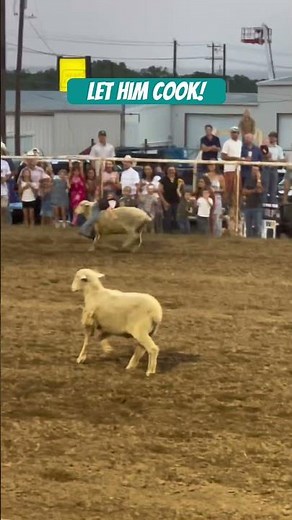 Longest Mutton Bustin’ Ever @ Marble Falls Rodeo! #lethimcook