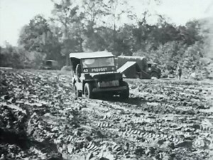 233K views · 1.9K reactions | On 6 October 1944 the Canadian 3rd...