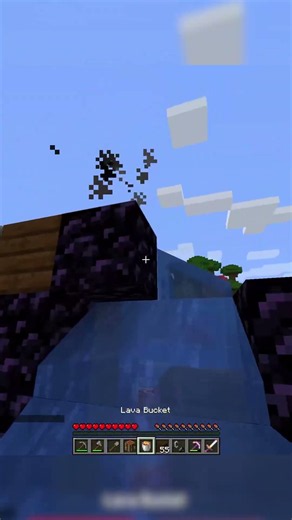 Portal for ants 😭#minecraft #twitchclips #mcsr