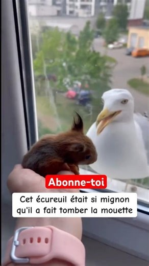 On merite pas les animaux ❤️ #shorts