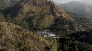 2.8K views · 139 reactions | Jamaica coffee story ☕️ Jamaica Blue...